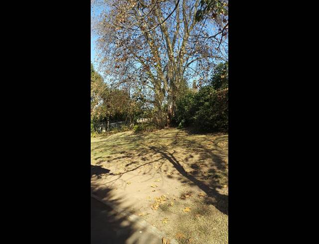 1 BEDROOM STUDIO APARTMENT RENTED IN ASSAGAY